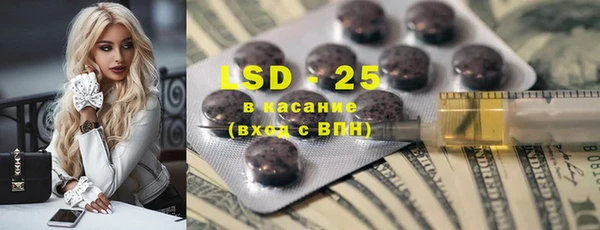 прущие грибы Абинск