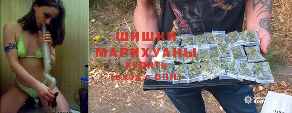 прущие грибы Абинск