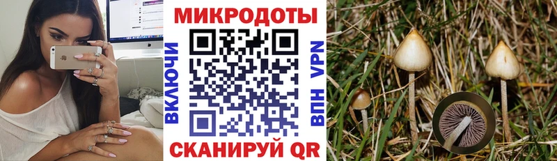 купить   Инта  Псилоцибиновые грибы мицелий 